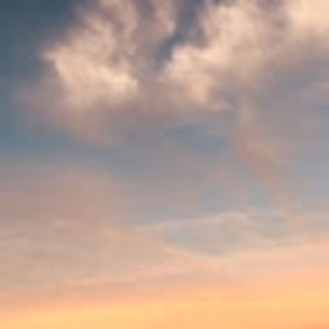 Meet your Posher, Esme